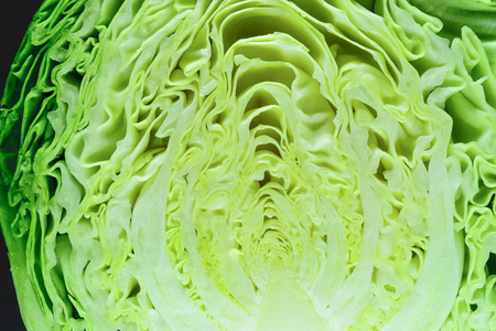Fresh yellow and green cabbage head cut in the half background surfaceの写真素材