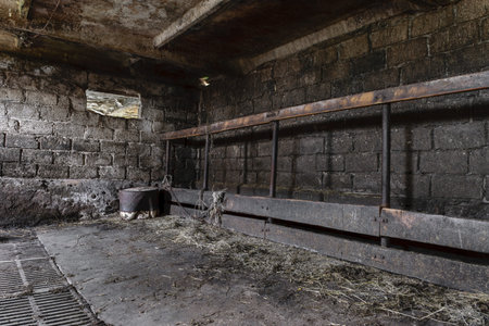 Dirty and dark farm room for the cows