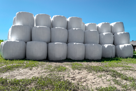 Large silage bales wrapped in white plastic and placed one on each other in blue sky backgroundの写真素材