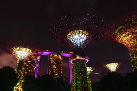 Singapore - 13 October 2018. Night view of Gardens By The Bay and Marina Bay Sands hotelのeditorial素材