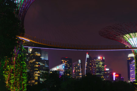 Singapore - 13 October 2018. Night view of Gardens By The Bay and skyscrapersのeditorial素材