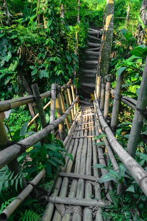 Old bamboo bridge in the middle of rainforest in Bali island, Indonesiaの写真素材
