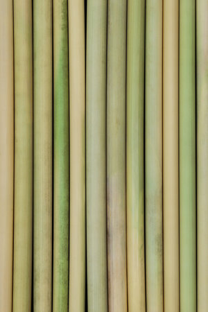 Background surface of bamboo sticks placed next to each other