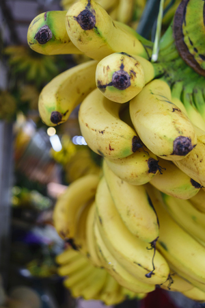 A lot of banana bundles hanging in local fruit market in Indonesiaの写真素材