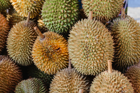 A lot of spiky and yellow durian fruits in marketの写真素材