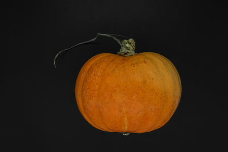 Orange pumpkin on black background surface with copy spaceの写真素材