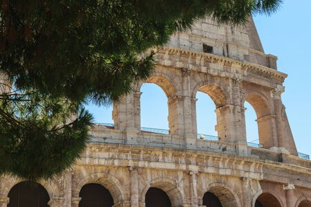 Facade of Colosseum in Rome in background of green pine tree and clear blue summer skyの写真素材
