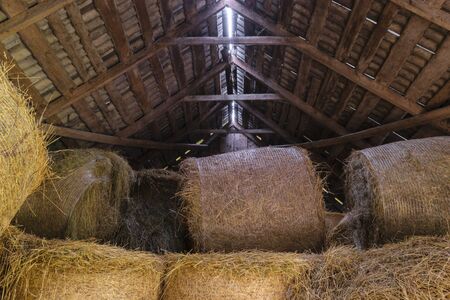 Huge round hay bales wrapped in plastic net and placed in barn. Sun light beams coming through the barn's roofの写真素材