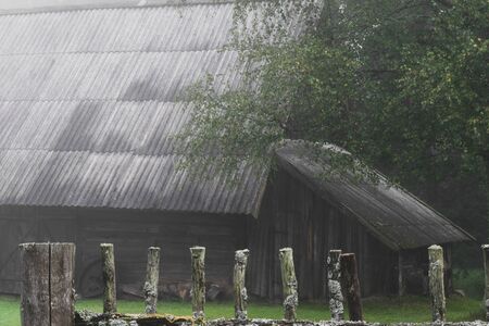 Very old rural barn during early morning fog in autumn. In the background visible birch tree, river and old rural fence with spider webs. Very mysterious and frightening atmosphereの写真素材