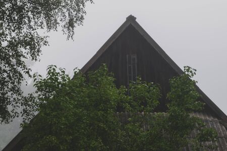 Very old rural barn during early morning fog in autumn. In the background visible birch tree, lilac tree and forest. Very mysterious and frightening atmosphereの写真素材