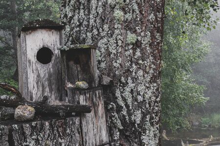 Abstract composition of two old wooden wild birds nesting boxes placed on cutted tree stump with rocks and wooden stick in background of forest, river and early summer morning fogの写真素材