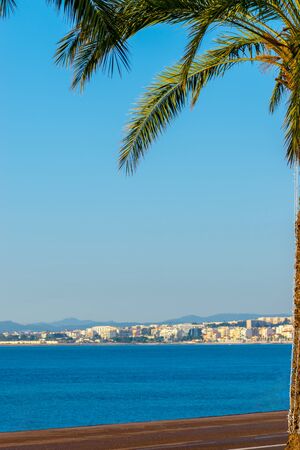 Palm tree decorated with garlands in blue Mediterranean sea and the Nice cityの写真素材