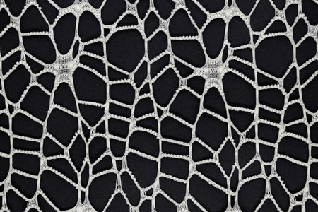 Abstract white mesh pattern  on black matte surface
