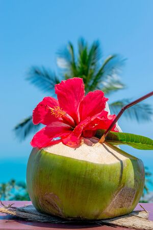 Fresh green coconut drink cocktail with red and white flowers in front of the blue and clear sky and sea with blurred green palm tree in the backgroundの写真素材