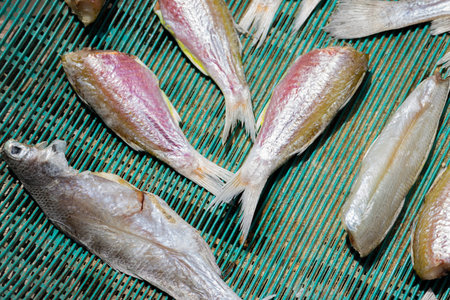 Drying fish in sunlight on green plastic net