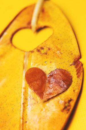 Abstract background of wet heart shape made from tropical yellow and brown leaf on yellow...