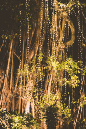 Travel and holidays concept. Abstract background of blurred bokeh garlands lights hanging on tropical tree. Vintage tone filter color styleの写真素材