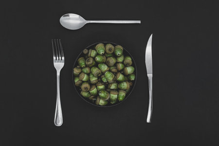 Abstract background dish of oak tree acorns in cast iron bowl surrounded by spoon knife and fork on black matte background with copy spaceの写真素材