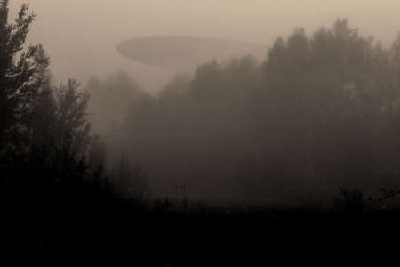 Abstract composition of alien spaceship over foggy forest and extraterrestrial figurine silhouettes in meadow during dark night. Vintage grunge filter color style with noise and compression artifactsの写真素材