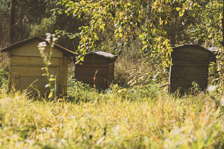 Abandoned bee hives standing in meadow during early autumn time in countrysideの写真素材