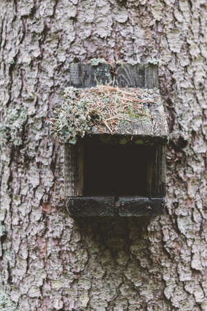 Old construction of bird feeder hanging on spruce trunk in the forestの写真素材