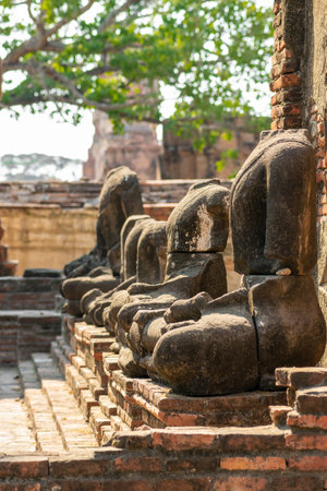 Wat Mahathat ancient temple in Ayutthaya, Thailand during early sunset and illuminated by sunlightの写真素材