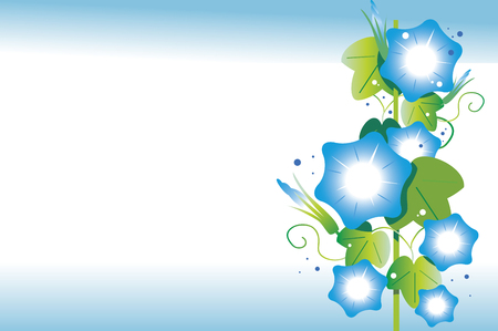 Blue morning glory backgroundのイラスト素材