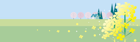 Rape blossom backgroundのイラスト素材