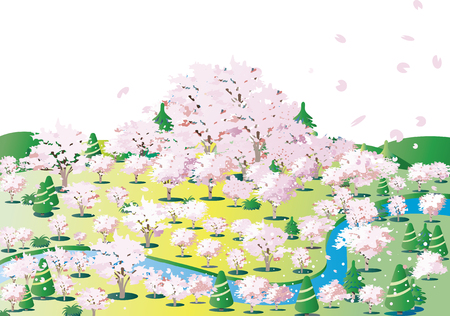 Cherry blossoms of flowering blooming hillsのイラスト素材