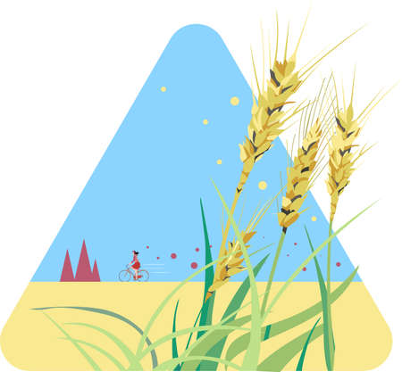 autumn, wheat, wheat field, cyclingのイラスト素材