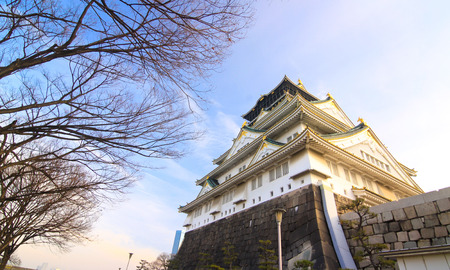 Castle with no leaf treefocus at castleのeditorial素材