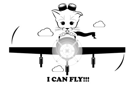 Boso, calm and happy kitten, darling of fortune. He is flying on plane and rapture is on his muzzle. Even kittens can fly. Black vector illustration isolated on white background.のイラスト素材