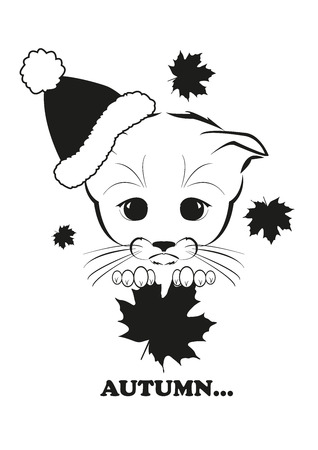 Totono, saddest kitten in the world. He hold fallen maple leaf as symbol of most sad and beautiful season of the year - autumn. And all sadness of the world is in his eyes.のイラスト素材