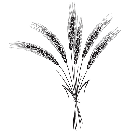 Black wheat ears bandaged with ribbon isolated on white background. Set of wheat ears. Background for farms and bakeries. Collection of elements for print products, page and web decor or other design.のイラスト素材