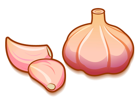 Unpeeled raw garlic bulb and two unpeeled cloves isolated on white background front isometric view.のイラスト素材