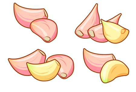 Four different sets of peeled and unpeeled raw garlic cloves isolated on white background front isometric view.のイラスト素材
