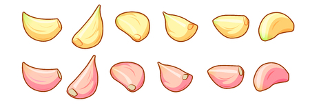 Set of peeled and unpeeled raw garlic cloves isolated on white background front isometric view.のイラスト素材