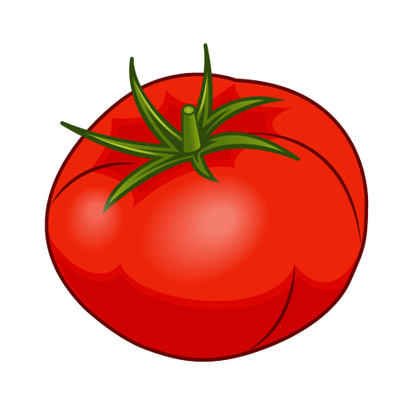 Fresh red tomato with green stem with shadows and highlights isolated on white background isometric front view.のイラスト素材