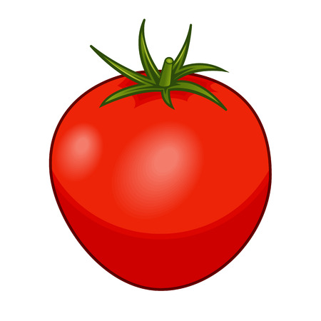 Fresh red tomato with green stem with shadows and highlights isolated on white background isometric front view.のイラスト素材