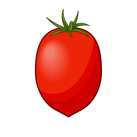Fresh red tomato with green stem with shadows and highlights isolated on white background isometric front view.のイラスト素材