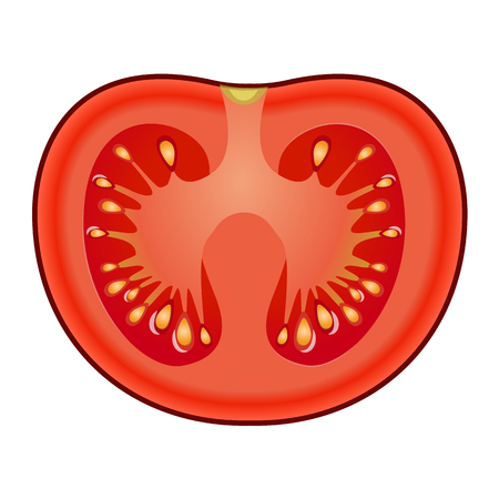 Fresh red tomato slice with shadows and highlights isolated on white background top view.のイラスト素材