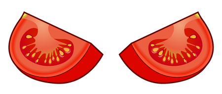 Set of fresh red tomato quarters with shadows and highlights isolated on white background top view.のイラスト素材