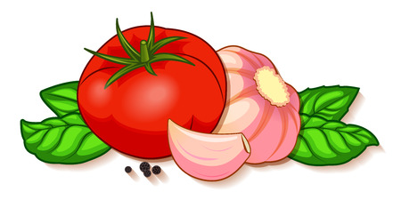 Fresh red tomato with garlic, green basil and black pepper with shadows and highlights isolated on white background isometric front view.のイラスト素材
