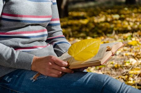 A middle-aged or young woman, dressed in casual clothes, sitting in an autumn park and reading a book. Autumn mood. Calm concept. Close-upの写真素材