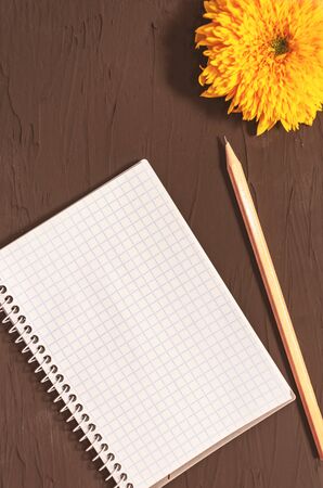 Top view of open spiral blank notebook, wood pencil and yellow Teddy Bear Sunflower on a black background. Copy space.の写真素材
