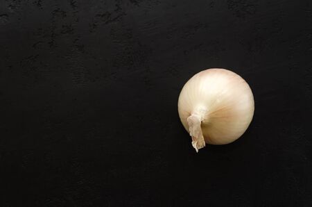 Single white onion bulb on a black background. Flat lay, top view. Copy spaceの写真素材