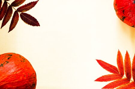 Autumn composition. Pumpkins and colorful autumn leaves on a light yellow background. Autumn, fall, thanksgiving concept. Flat lay, copy space, top viewの写真素材