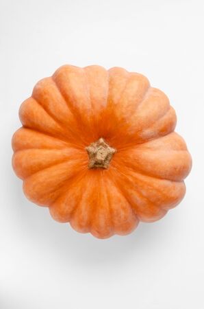 Fresh orange single pumpkin on white background. Top view.の写真素材