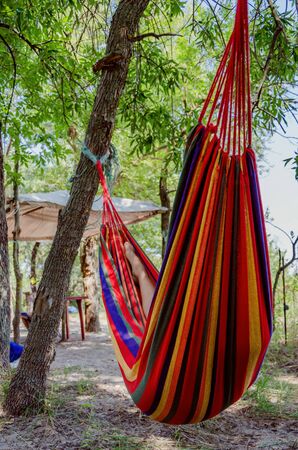 Person relaxing in the colorful hammock in tree's shadow on hot sunny day. Lazy time.の写真素材