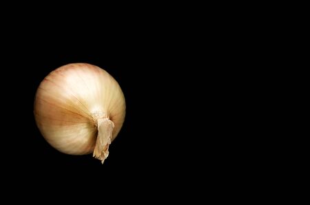 Raw white onion on a black background. Top view of single onion bulb. Flat lay. Space for textの写真素材